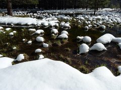 20110220-21_Yosemite 008